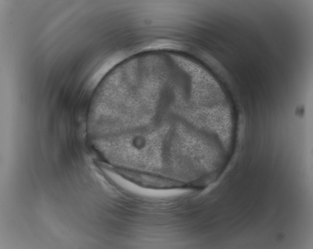 X0000113861321200910221432
