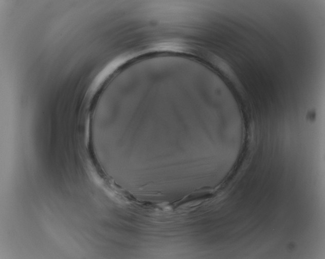 X0000113861323200910221432