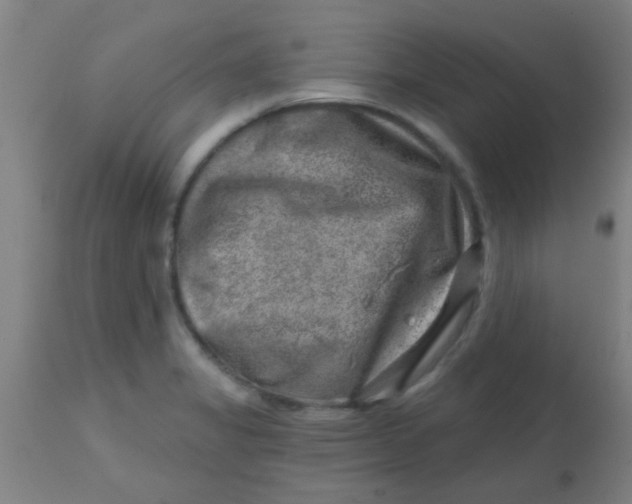 X0000113861325200910221432