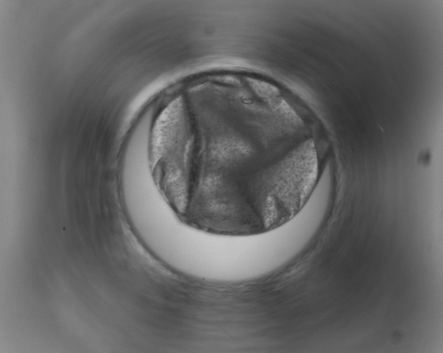 X0000113861326200910221432
