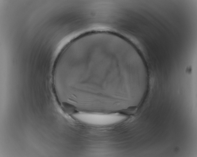X0000113861327200910221432