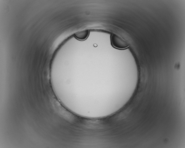 X0000113861328200910221432