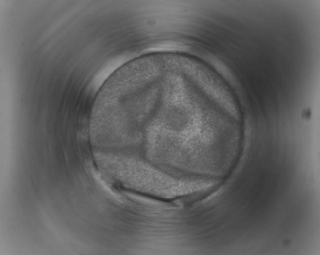 X0000113861329200910221432