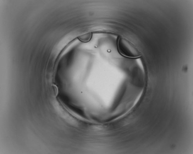 X0000113861330200910221432