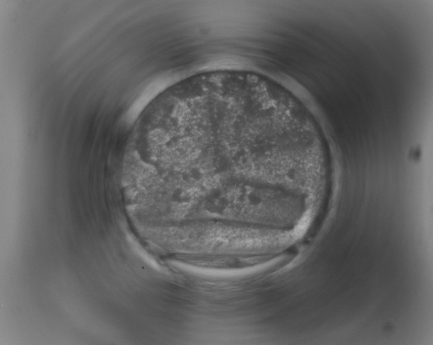 X0000113861337200910221433