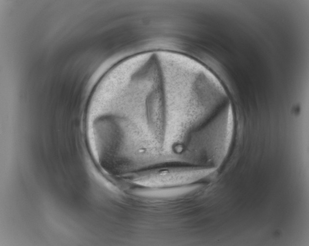 X0000113861339200910221433