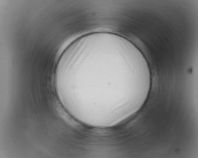 X0000113861340200910221433
