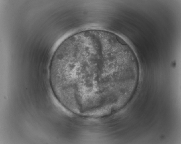 X0000113861341200910221433