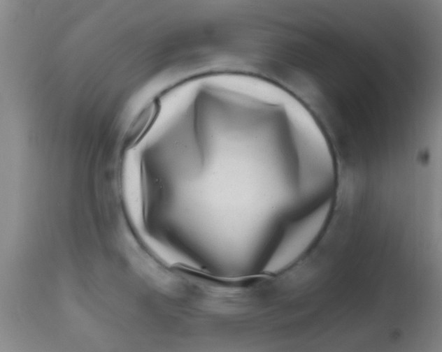 X0000113861342200910221433