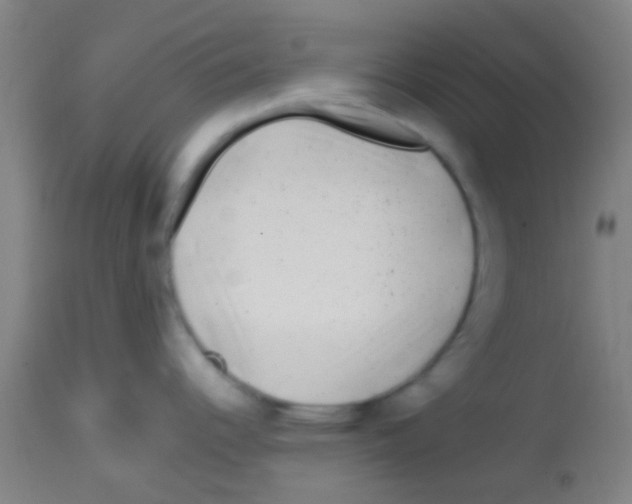 X0000113861344200910221433