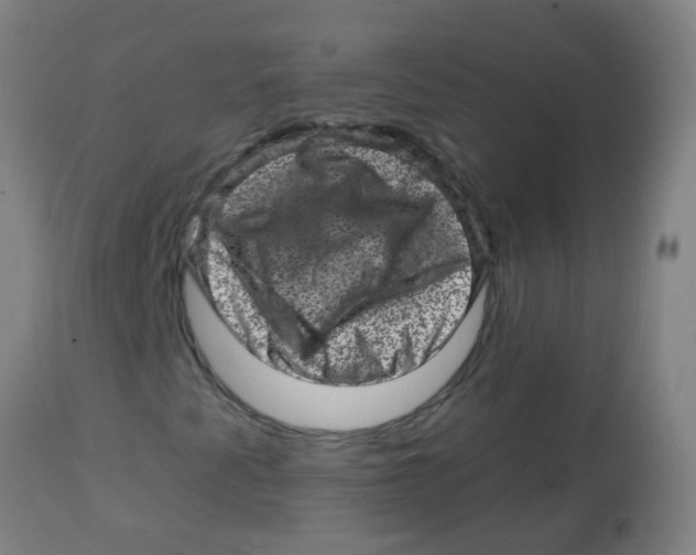 X0000113861345200910221432