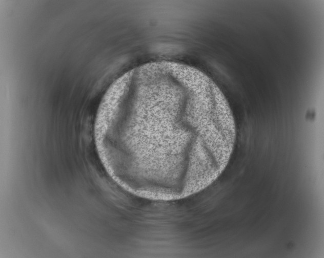 X0000113861346200910221432
