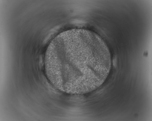 X0000113861347200910221432