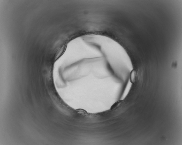 X0000113861348200910221432
