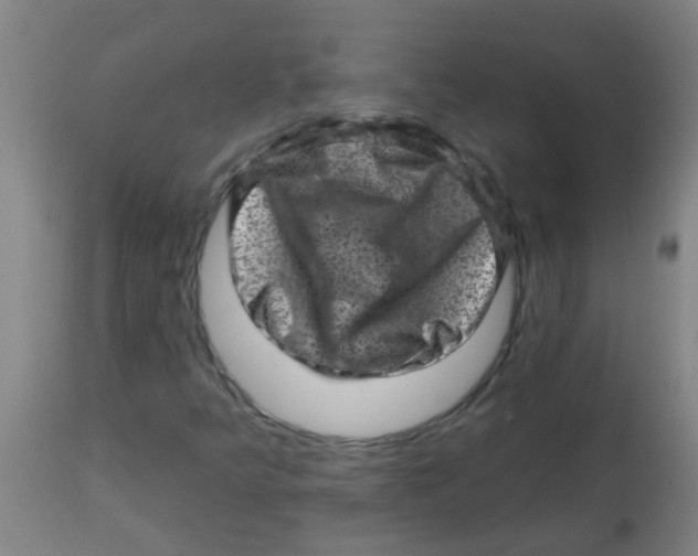 X0000113861349200910221432