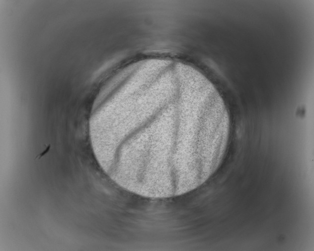 X0000113861350200910221432