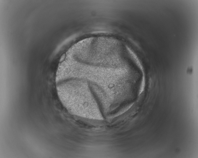 X0000113861351200910221432