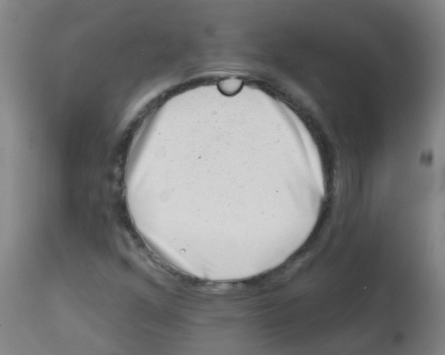 X0000113861352200910221432