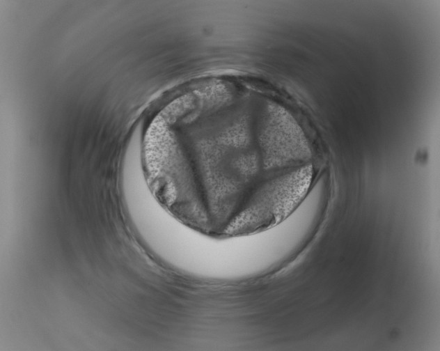 X0000113861353200910221432