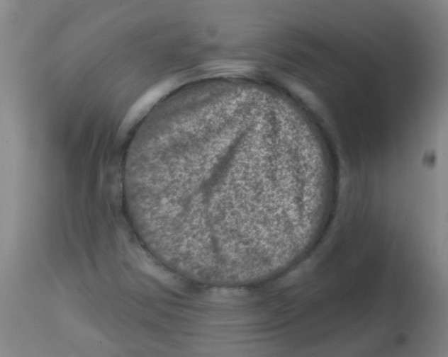 X0000113861354200910221432