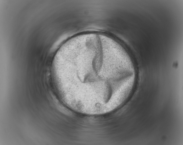 X0000113861355200910221432