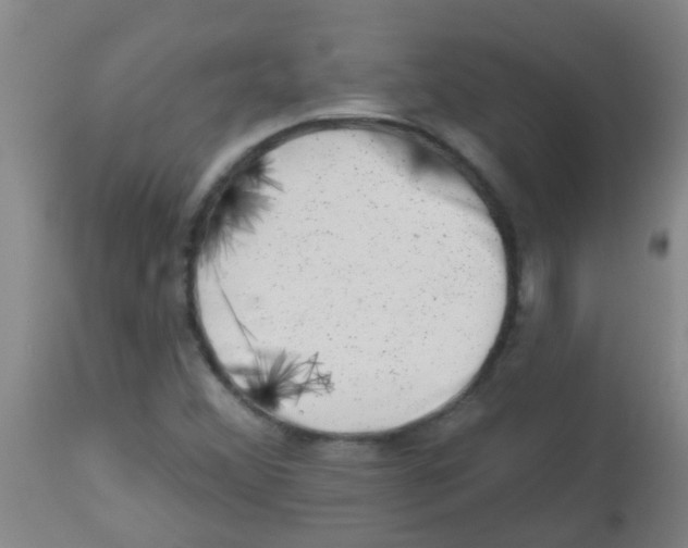 X0000113861356200910221432