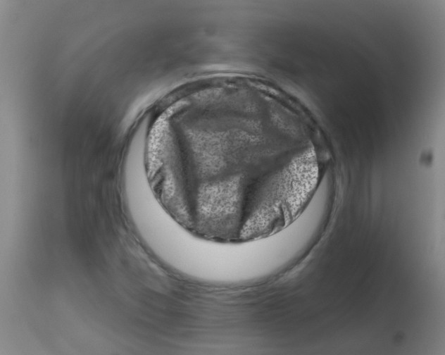 X0000113861357200910221432