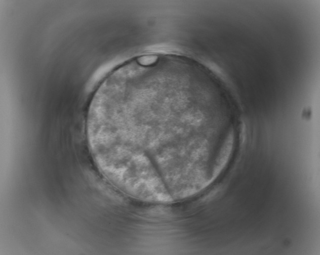 X0000113861358200910221432