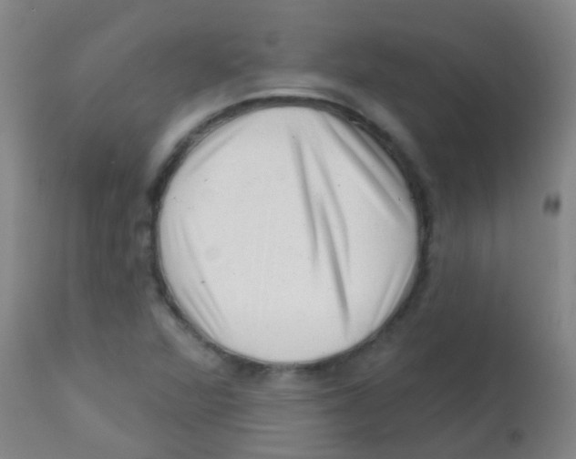 X0000113861360200910221432