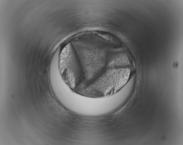 X0000113861361200910221432