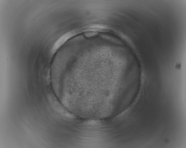X0000113861362200910221432