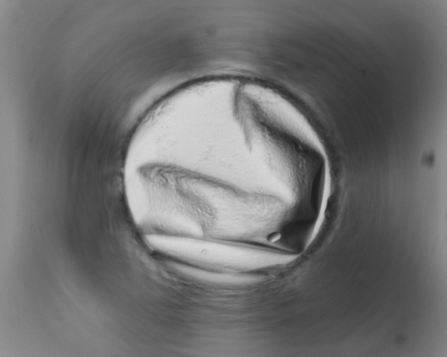 X0000113861363200910221432