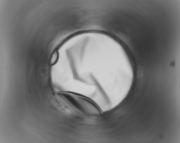X0000113861364200910221432