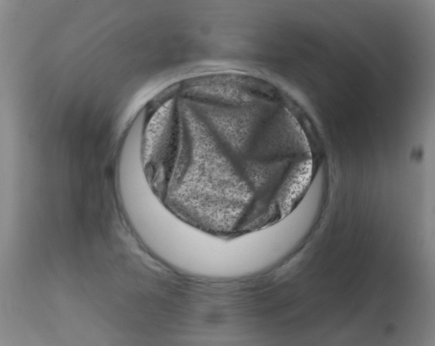 X0000113861365200910221432