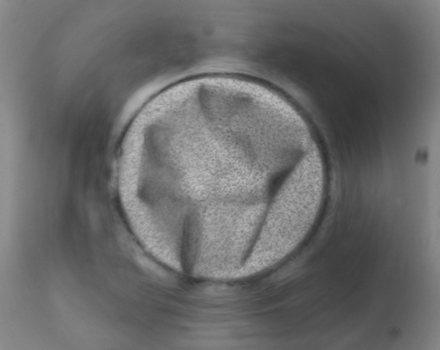 X0000113861366200910221432