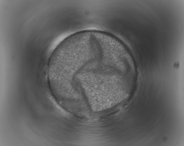 X0000113861367200910221431