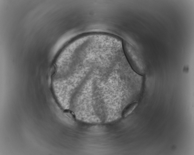 X0000113861368200910221431