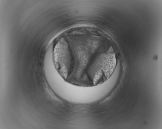 X0000113861369200910221431