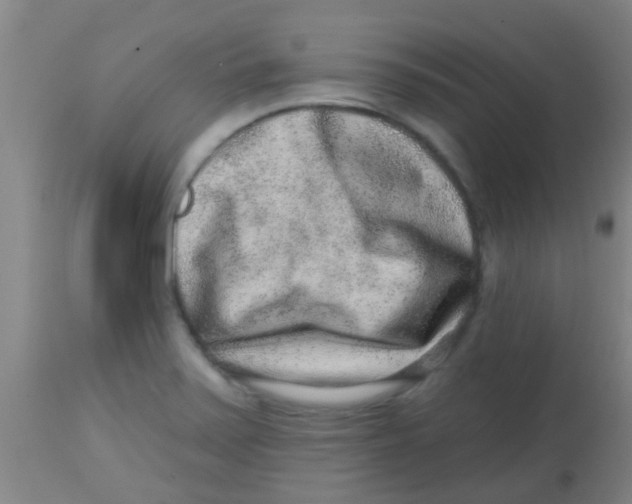 X0000113861371200910221431