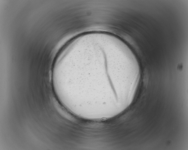 X0000113861372200910221431