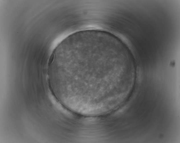 X0000113861373200910221431