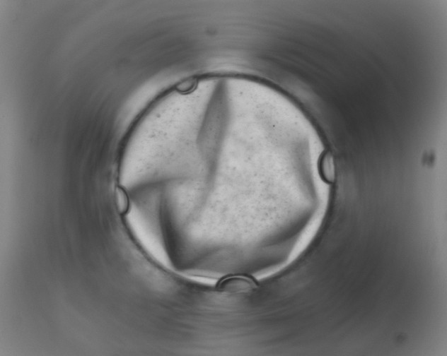 X0000113861376200910221431