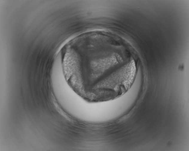 X0000113861377200910221431