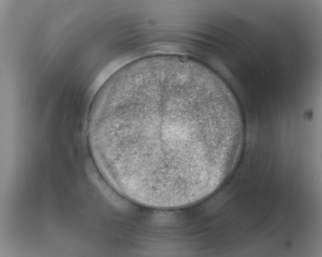 X0000113861378200910221431