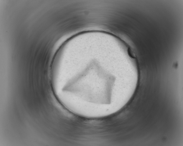 X0000113861380200910221431