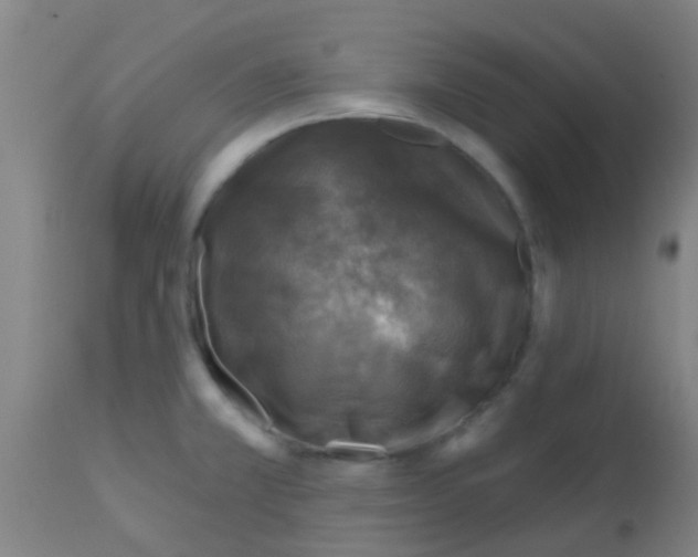 X0000113861381200910221431