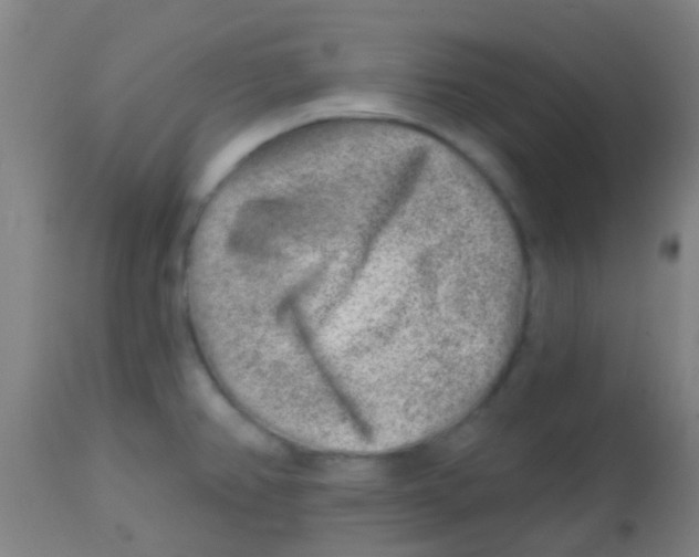 X0000113861382200910221431