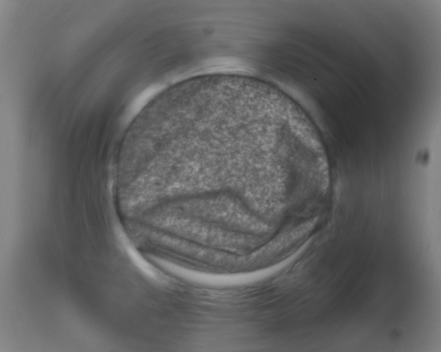 X0000113861383200910221431