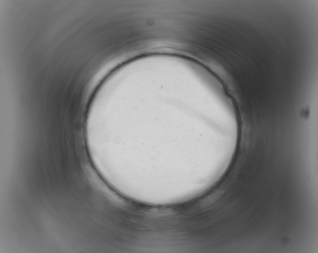 X0000113861384200910221431