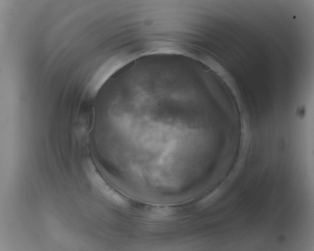 X0000113861385200910221431